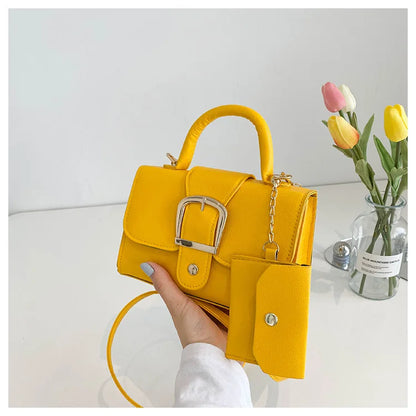 Aurora Chic Mini Hand Bag