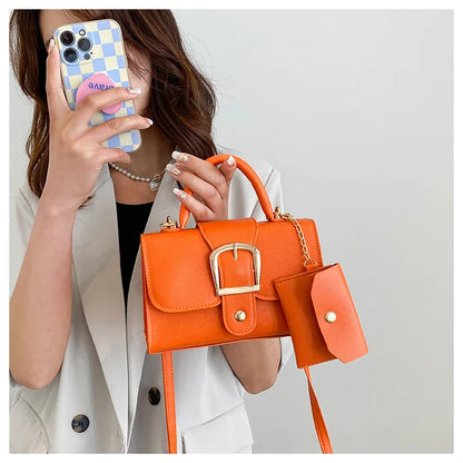 Aurora Chic Mini Hand Bag